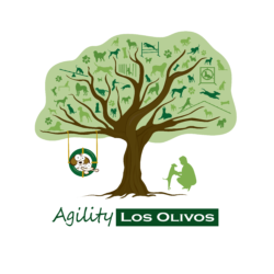 Agility Los olivos